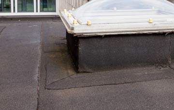 disadvantages of Taobh Tuath flat roofs
