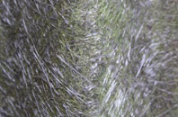 Taobh Tuath fibreglass roof work